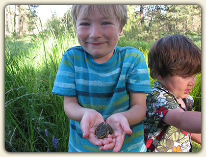 Forest Kindergarten Forest Kindergarten