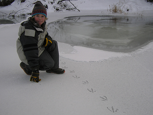 Homeschool Nature Program