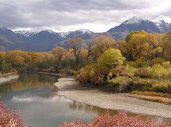 Wilderness Skills Instructor Training Program