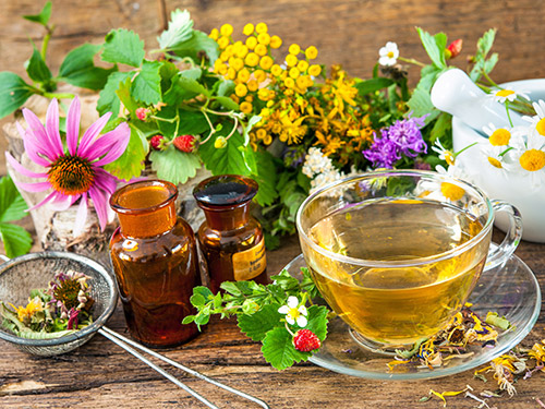 Herbal Tea Recipes erbal Tea Recipes