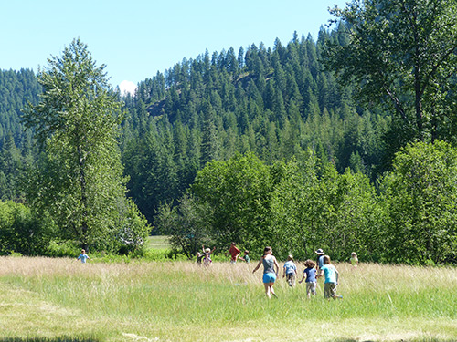 Nature Summer Camp Nature Summer Camp