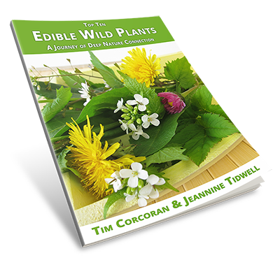 Edible Wild Plants eBook