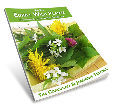 Edible Wild Plants eBook Edible Wild Plants eBook