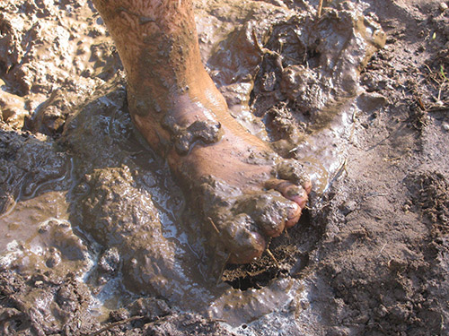 Can Mud Make Us Cleaner?