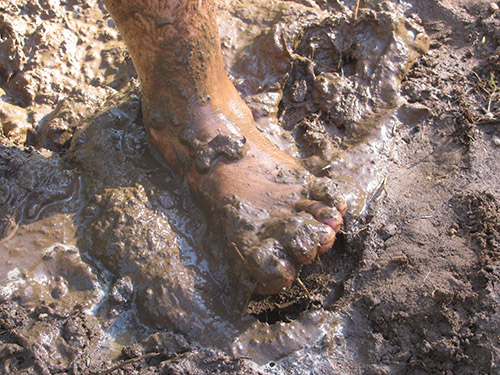 Can Mud Make Us Cleaner? Can Mud Make Us Cleaner?