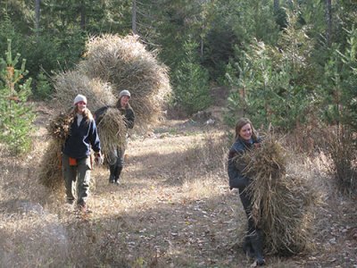 Gap Year Programs Gap Year Programs