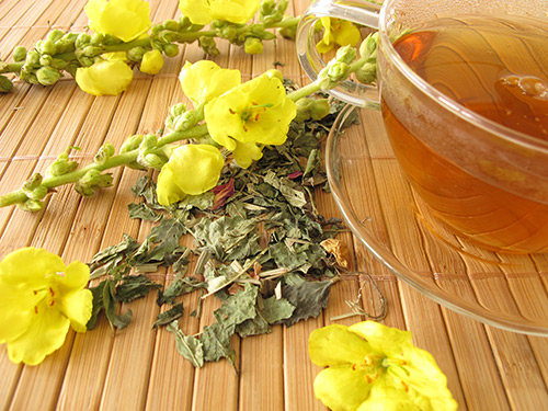 Herbal Tea Mullein Tea
