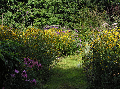 Permaculture Gardening