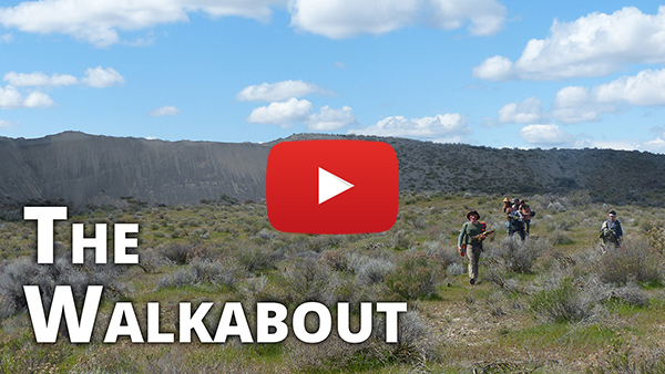 Teen Walkabout Video Teen Walkabout Video