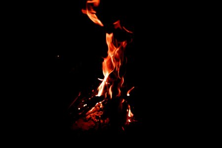 Renewal and Reciprocity