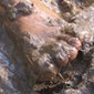 Can Mud Make Us Cleaner? Can Mud Make Us Cleaner?