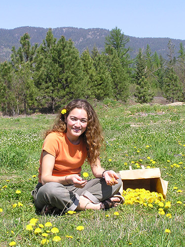 Dandelion Recipes