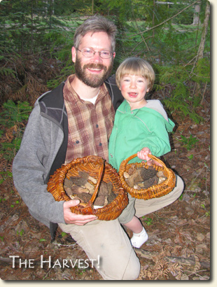 Edible Wild Mushrooms