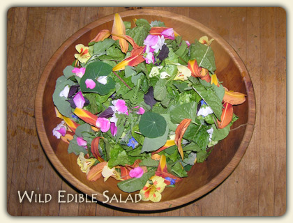 Edible Wild Plants