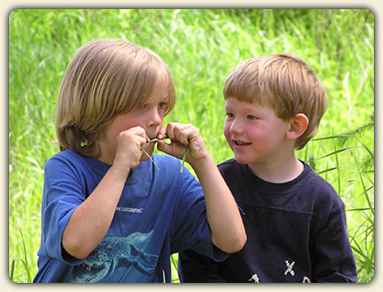 Forest Kindergarten