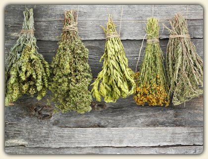 Preserving Freshness: How to Hang Dry Herbs