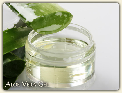 Medicinal Uses of Aloe Vera