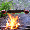 Survival Food List Survival Food List