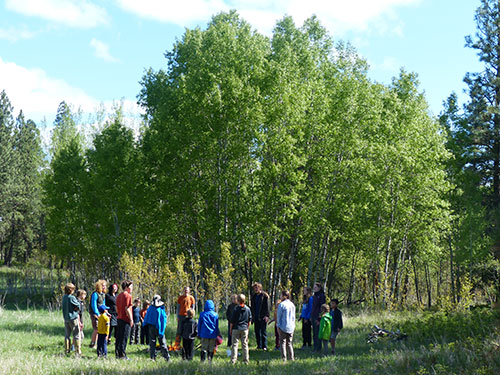 Wilderness Skills Instructor Training Program