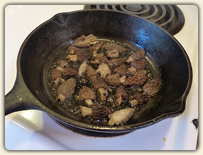 Morel Recipes Morel Recipes