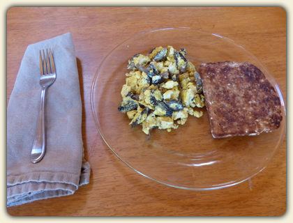 Morel Recipes Morel Recipes