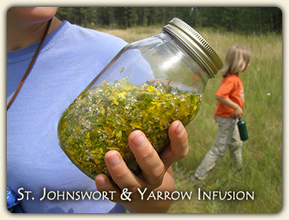 Online Herbal Remedies Advice Online Herbal Remedies Advice
