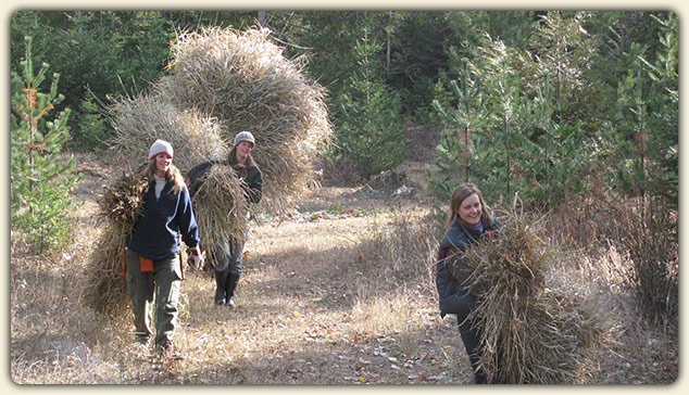 Wilderness Skills Instructor Training Program